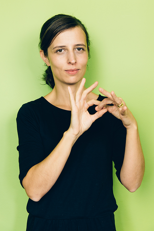 cours langue des signes lille