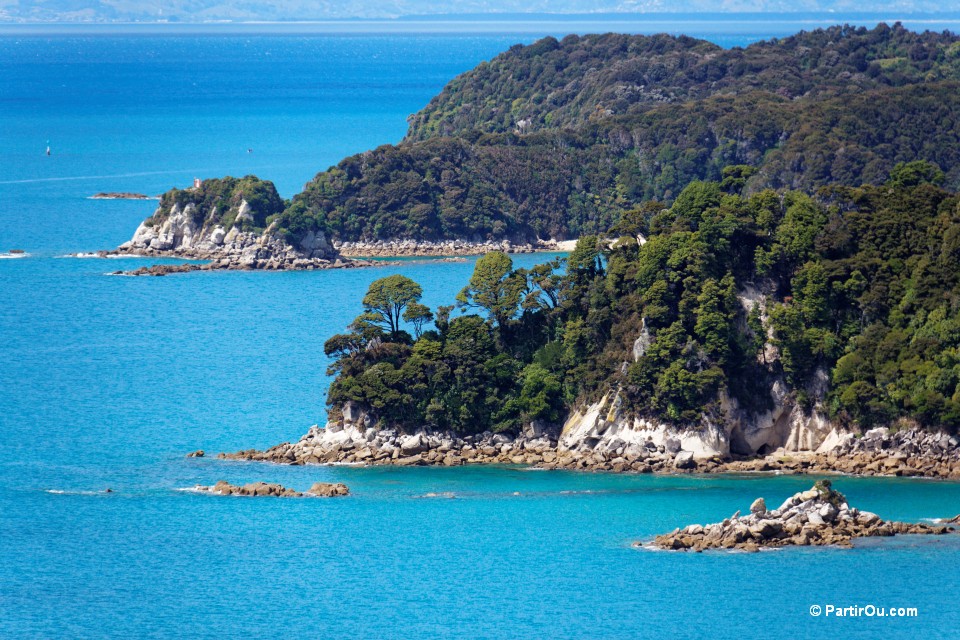 partir en nouvelle zélande 1 an